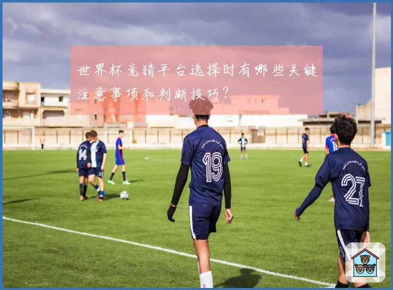 世界杯竞猜平台选择时有哪些关键注意事项和判断技巧？