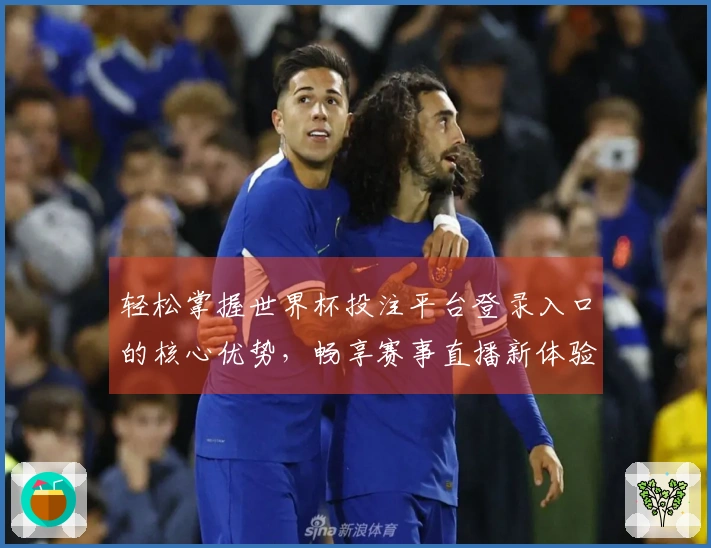 轻松掌握世界杯投注平台登录入口的核心优势，畅享赛事直播新体验