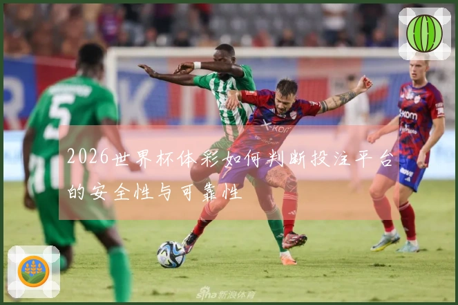 2026世界杯体彩如何判断投注平台的安全性与可靠性