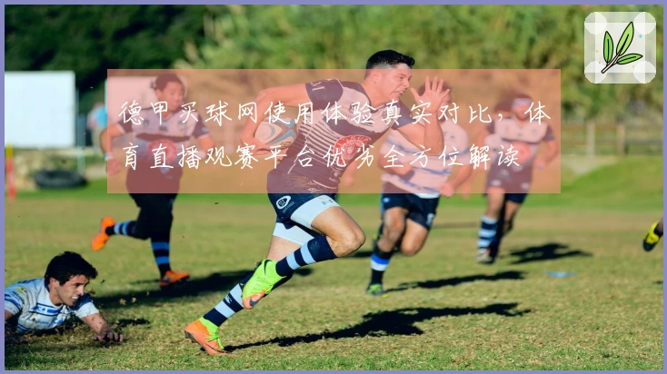 德甲买球网使用体验真实对比，体育直播观赛平台优劣全方位解读