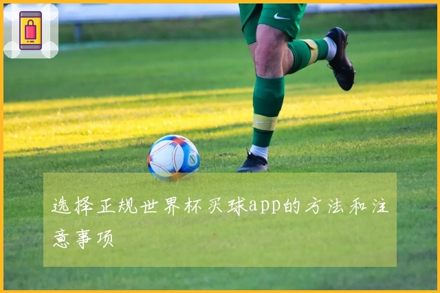选择正规世界杯买球app的方法和注意事项