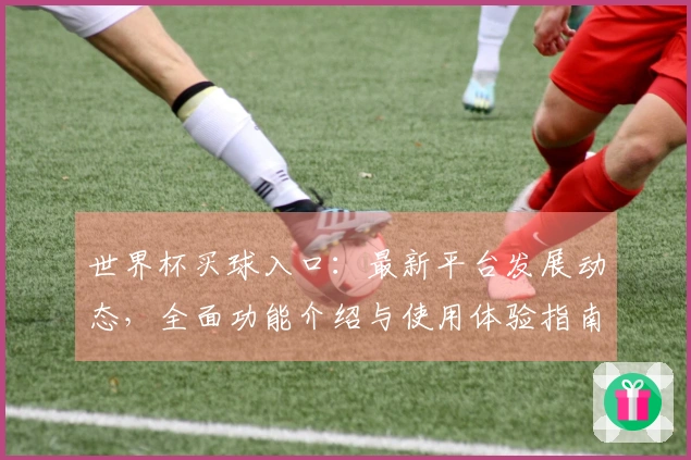 世界杯买球入口：最新平台发展动态，全面功能介绍与使用体验指南
