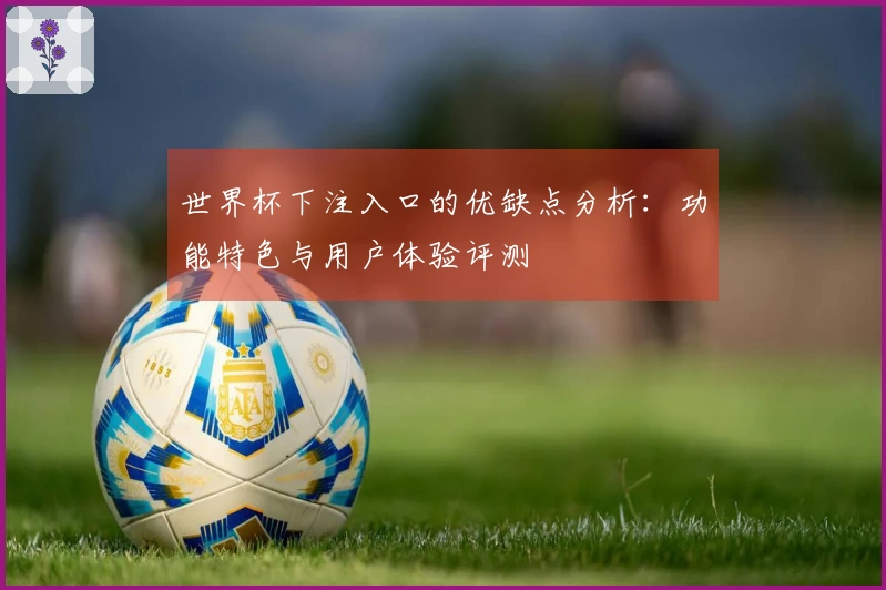 世界杯下注入口的优缺点分析：功能特色与用户体验评测