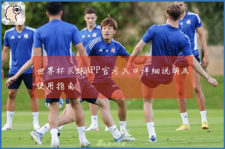 世界杯买球APP官方入口详细说明及使用指南