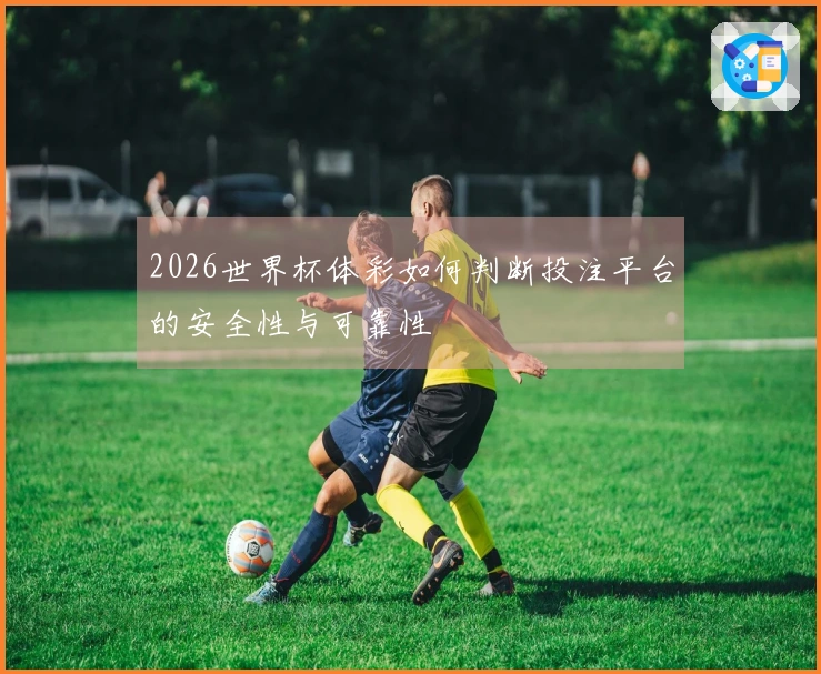 2026世界杯体彩如何判断投注平台的安全性与可靠性