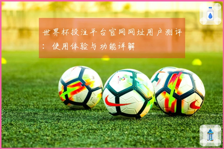 世界杯投注平台官网网址用户测评：使用体验与功能详解