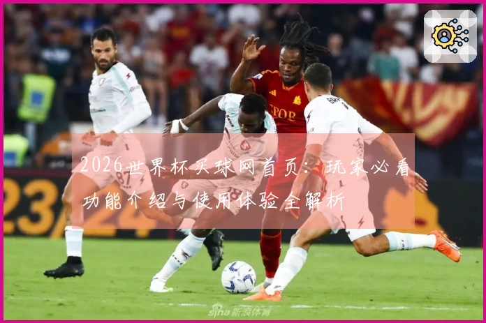 2026世界杯买球网首页：玩家必看功能介绍与使用体验全解析