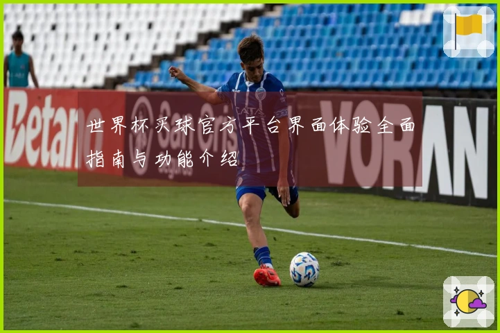 世界杯买球官方平台界面体验全面指南与功能介绍