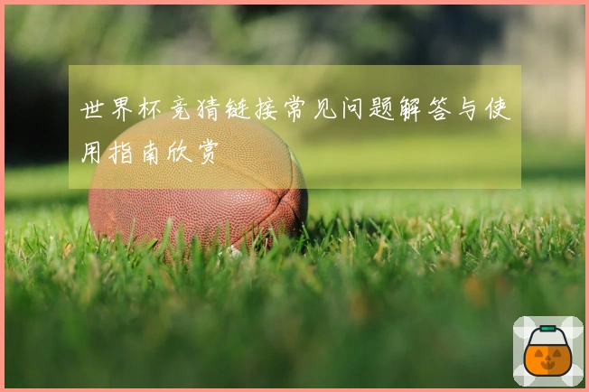 世界杯竞猜链接常见问题解答与使用指南欣赏