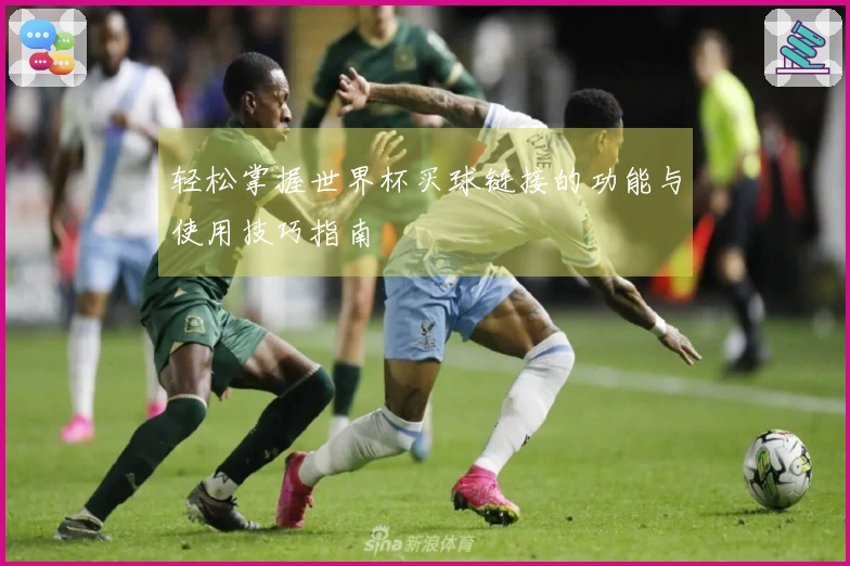 轻松掌握世界杯买球链接的功能与使用技巧指南